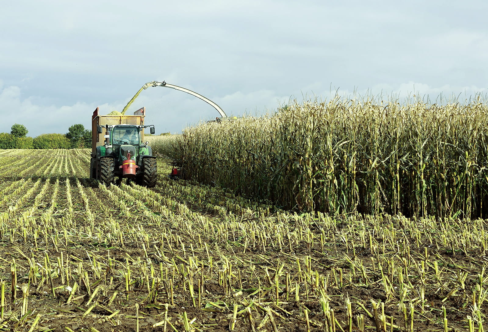 Agriculture & Environment